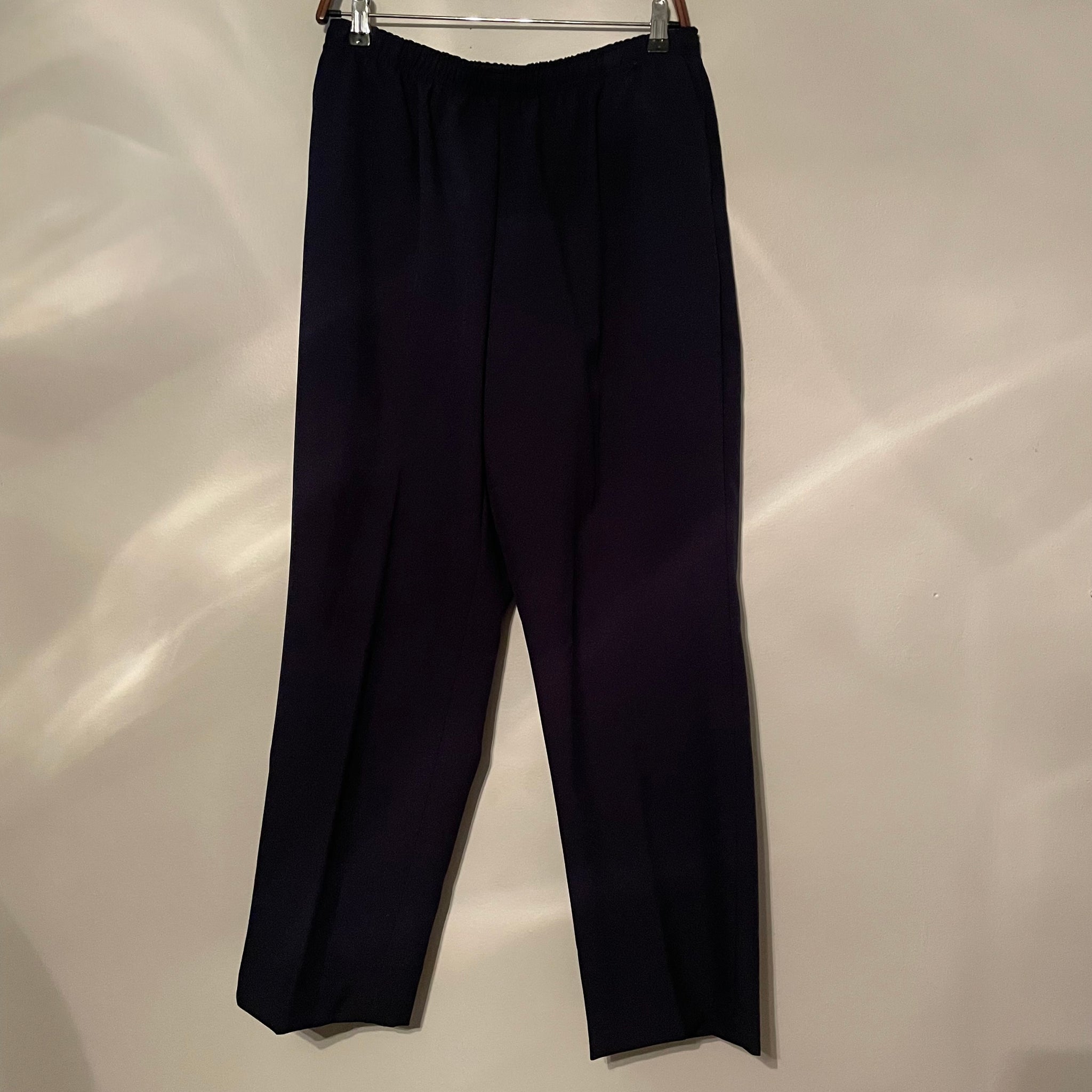 Navy Blue Blazer Pant Suit (M/L/12)